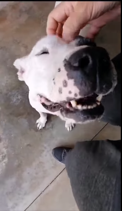 Magda, Ci Sarà Pure Qualcuno Per Te!